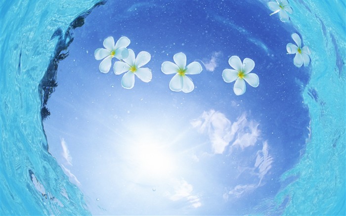 Malediven Wasser und blauer Himmel #9