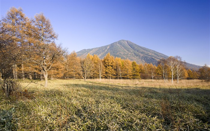 escenarios naturales del Japón Wallpaper #1