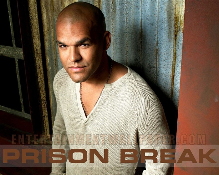 Prison Break fondo de pantalla #16