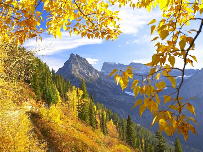 Thick autumn scenery wallpaper #11