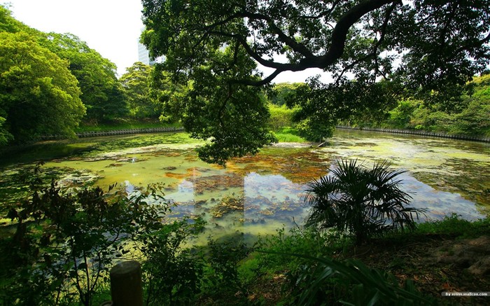 寧靜庭園 公園美景壁紙 #2