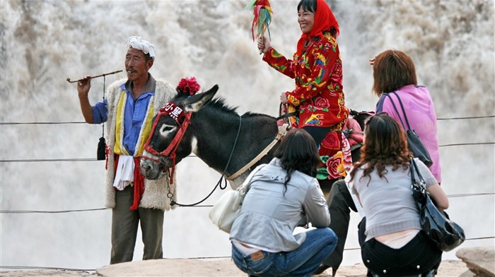 Continuously flowing Yellow River - Hukou Waterfall Travel Notes (Minghu Metasequoia works) #12