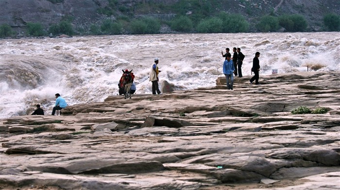 Kontinuierlich fließenden Yellow River - Hukou Waterfall Travel Notes (Minghu Metasequoia Werke) #13