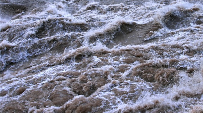 Que fluye continuamente del Río Amarillo (Minghu obras Metasequoia) #14