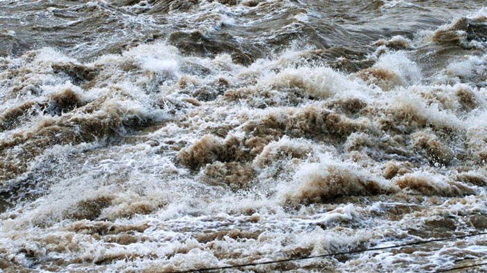 Que fluye continuamente del Río Amarillo (Minghu obras Metasequoia) #18