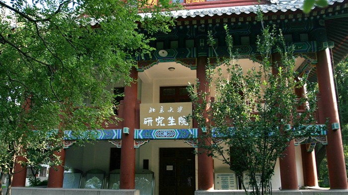 Glimpse of Peking University (Minghu Metasequoia works) #3