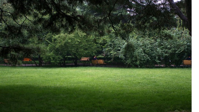 Glimpse der Peking-Universität (Minghu Metasequoia Werke) #10