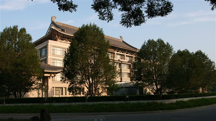 Glimpse of Peking University (Minghu Metasequoia works) #14