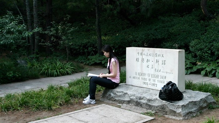 letmý pohled na Peking University (Minghu Metasequoia práce) #18