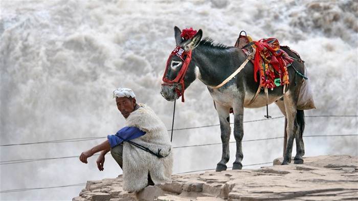 Continuously flowing Yellow River - Hukou Waterfall Travel Notes (Minghu Metasequoia works) #1