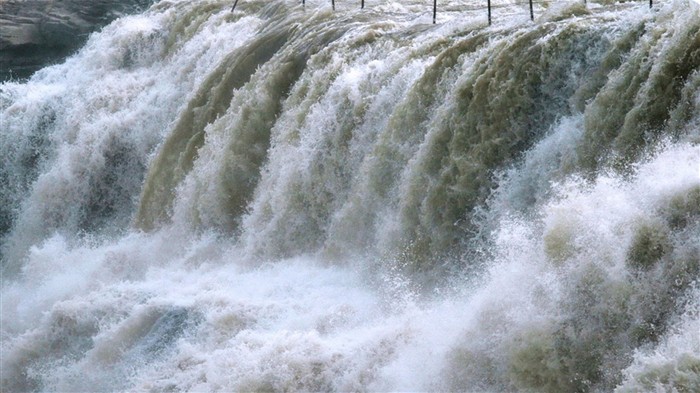 Kontinuierlich fließenden Yellow River - Hukou Waterfall Travel Notes (Minghu Metasequoia Werke) #2