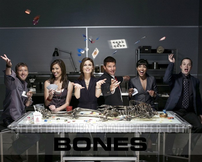 Bones Tapete #18