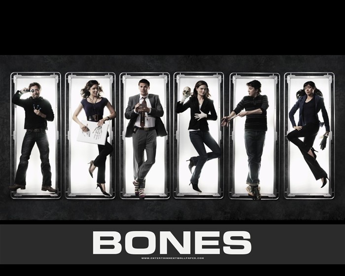 Bones 识骨寻踪31