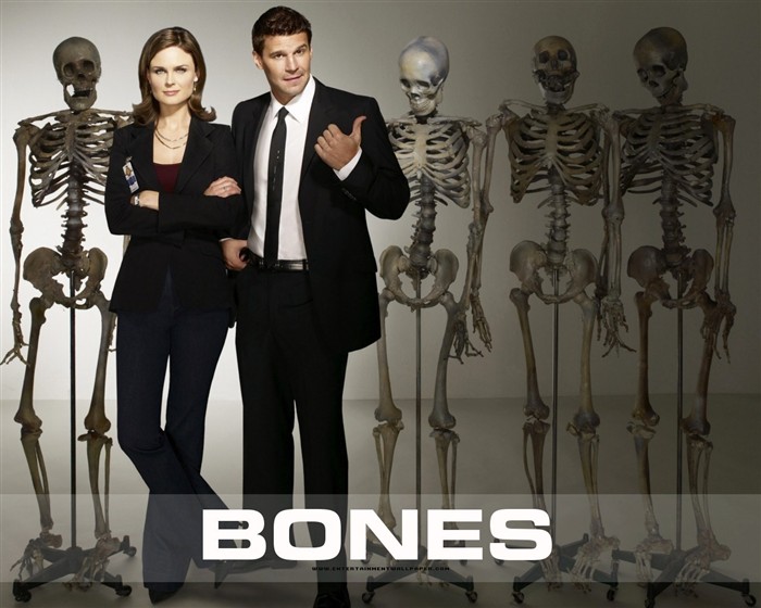 Wallpaper Bones #32