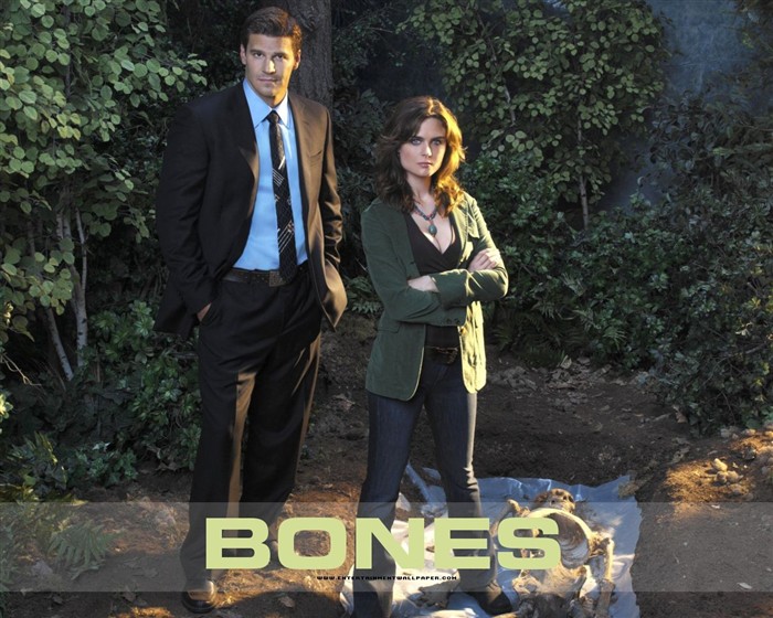 Bones wallpaper #35