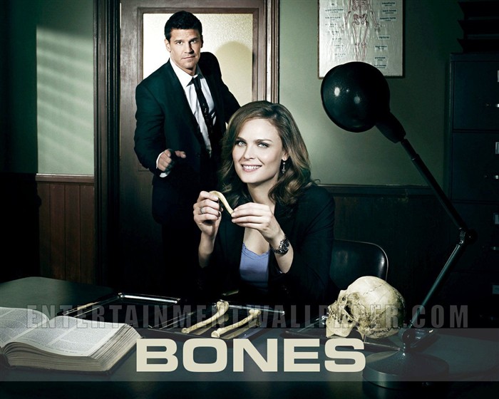 Wallpaper Bones #38