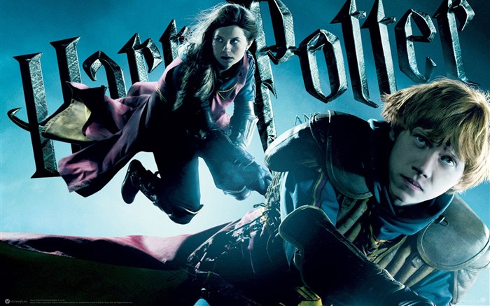 Harry Potter and the Half-Blood Prince Tapete #6