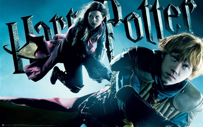 Harry Potter et le papier peint Half-Blood Prince #6