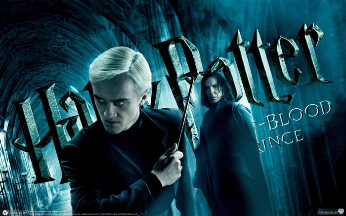 Harry Potter and the Half-Blood Prince Tapete #14