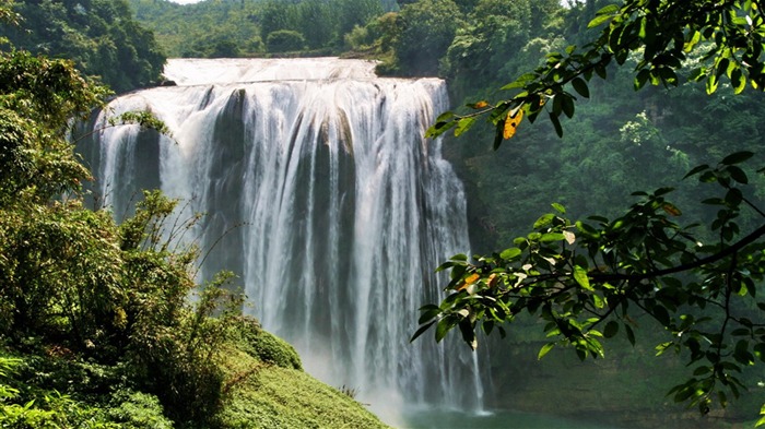 Huangguoshu Falls (Minghu obras Metasequoia) #2