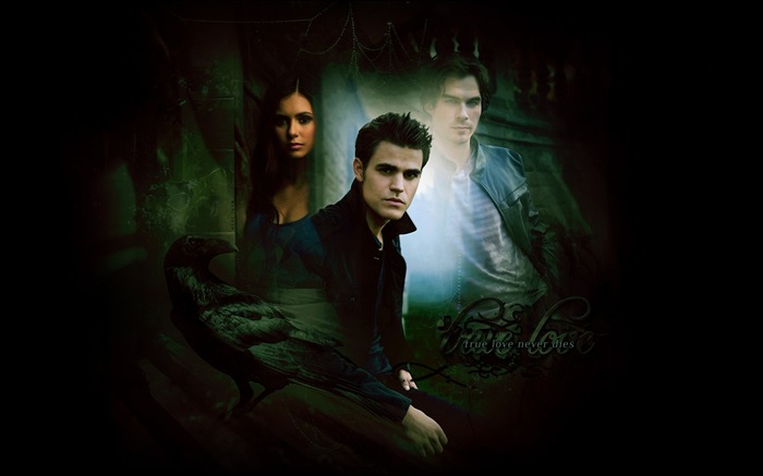 The Vampire Diaries Tapete #24