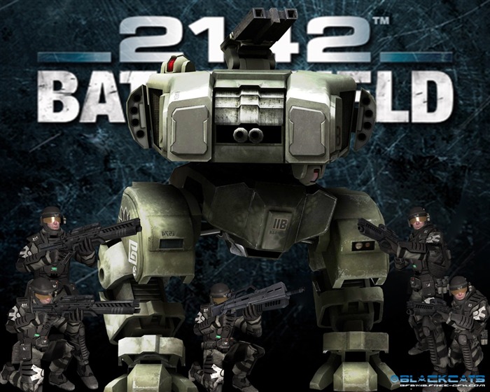 Battlefield 2142 战地2142壁纸(二)16