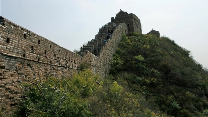 Jinshanling Great Wall (Minghu œuvres Metasequoia) #15