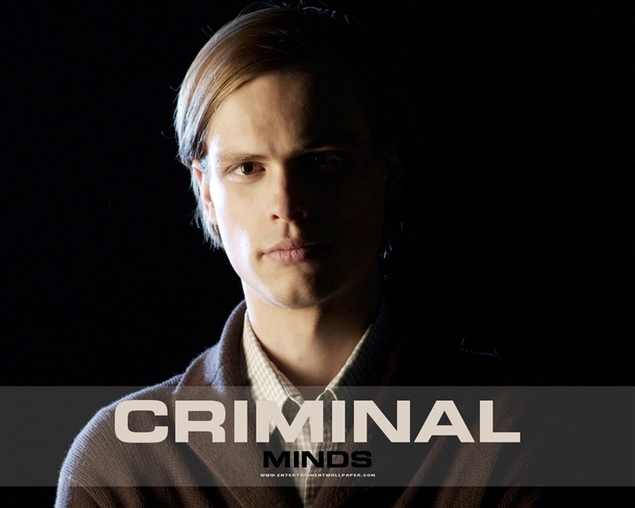 Criminal Minds 犯罪心理 #12