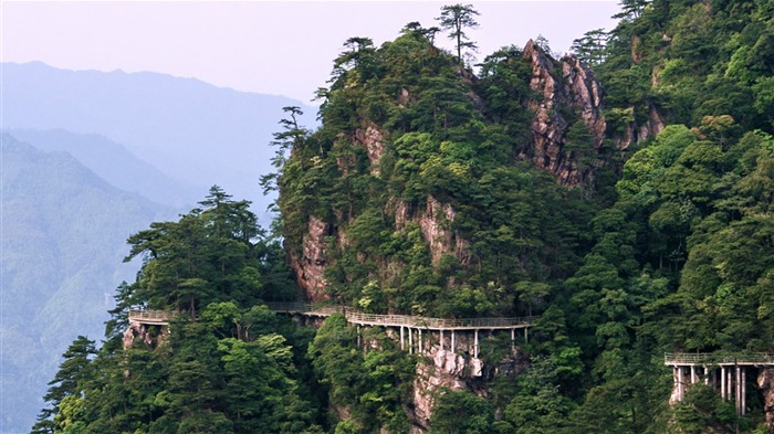 Jinggangshan (Minghu Metasequoia Werke) #2