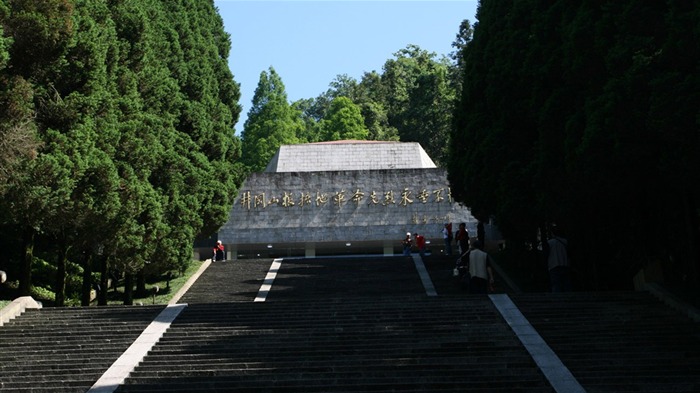 Jinggangshan (Minghu obras Metasequoia) #9