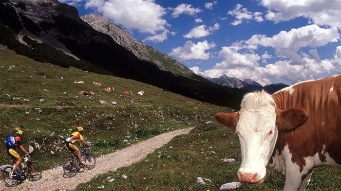 Fondos de bicicletas de montaña #7