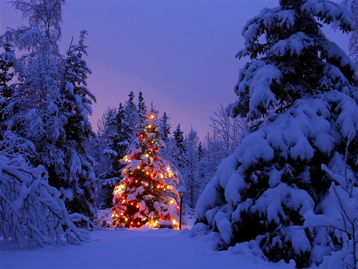 Christmas landscaping series wallpaper (3) #9