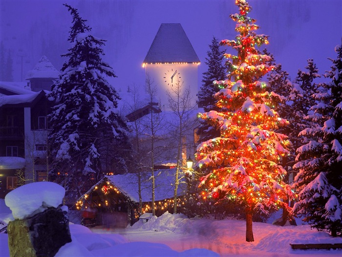 Christmas landscaping series wallpaper (3) #20