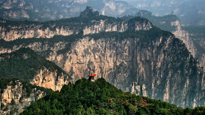 We have the Taihang Mountains (Minghu Metasequoia works) #2