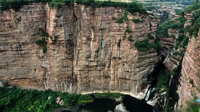 We have the Taihang Mountains (Minghu Metasequoia works) #3