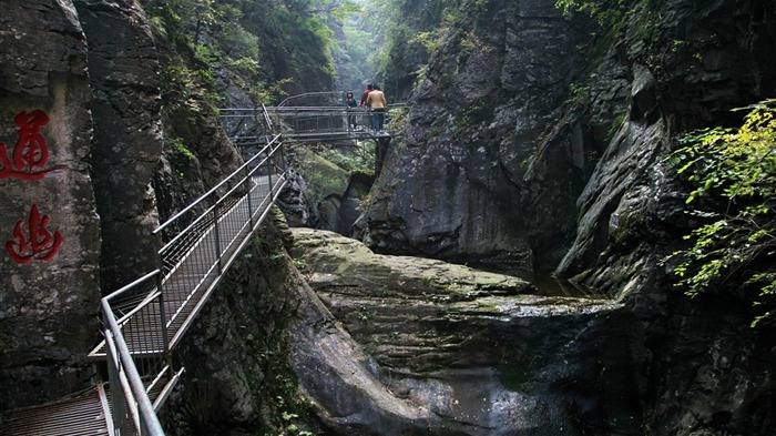 We have the Taihang Mountains (Minghu Metasequoia works) #7