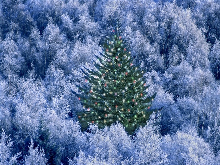 Weihnachten Landschaftsbau Serie Tapete (4) #15