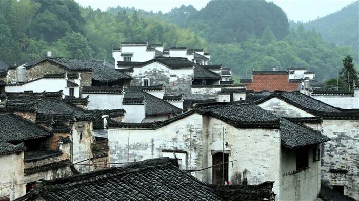 Wuyuan en la línea de la lluvia (Minghu obras Metasequoia) #1