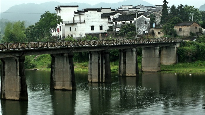 Wuyuan in the rain line (Minghu Metasequoia works) #9