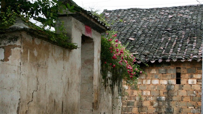 Wuyuan in the rain line (Minghu Metasequoia works) #16