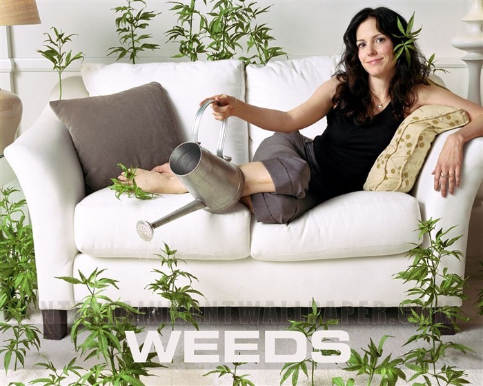 Weeds wallpaper #2