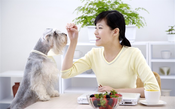 Beauté et des fonds d'écran HD pour animaux de compagnie #20