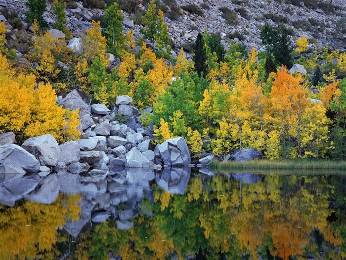 Herbstlandschaft schöne Tapete #13