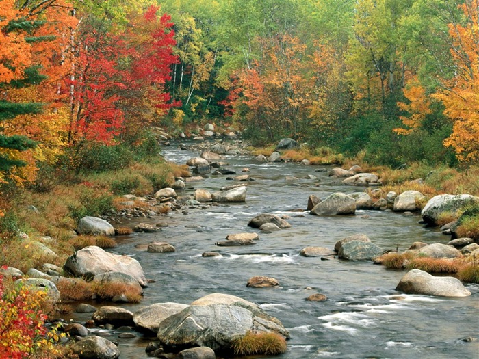 Podzimní krajina krásná tapeta #15