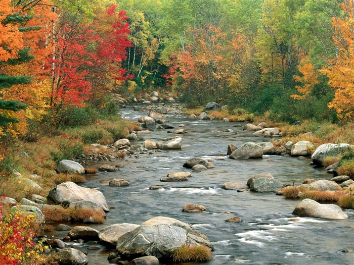 Herbstlandschaft schöne Tapete #15