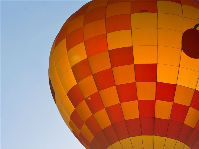 Hot air balloon wallpaper #5