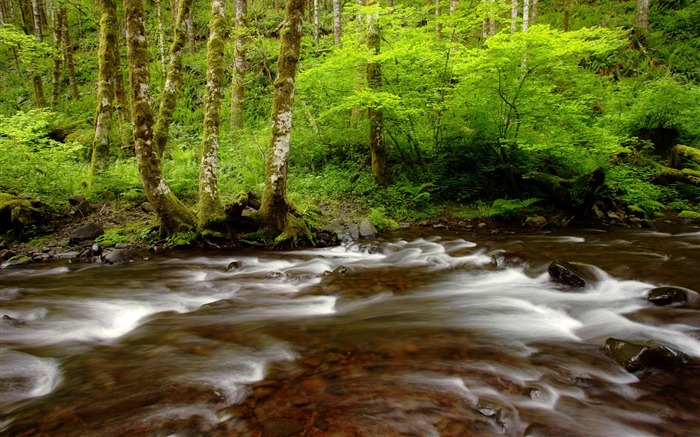 Water streams HD Wallpapers #8