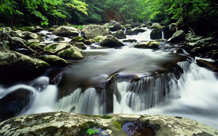 Water streams HD Wallpapers #30