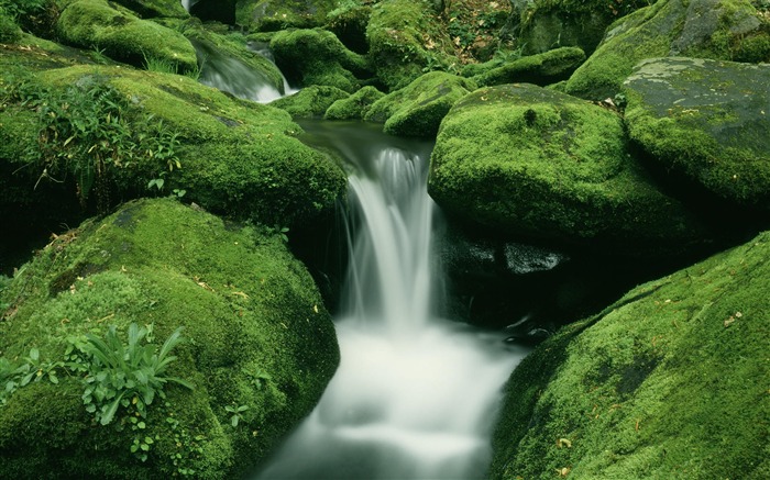 Water streams HD Wallpapers #39