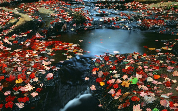 Water streams HD Wallpapers #40